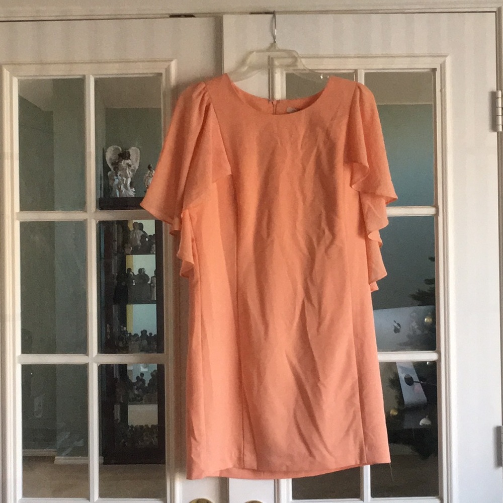 Forever 21 Blush Dress with Flares at Shoulder